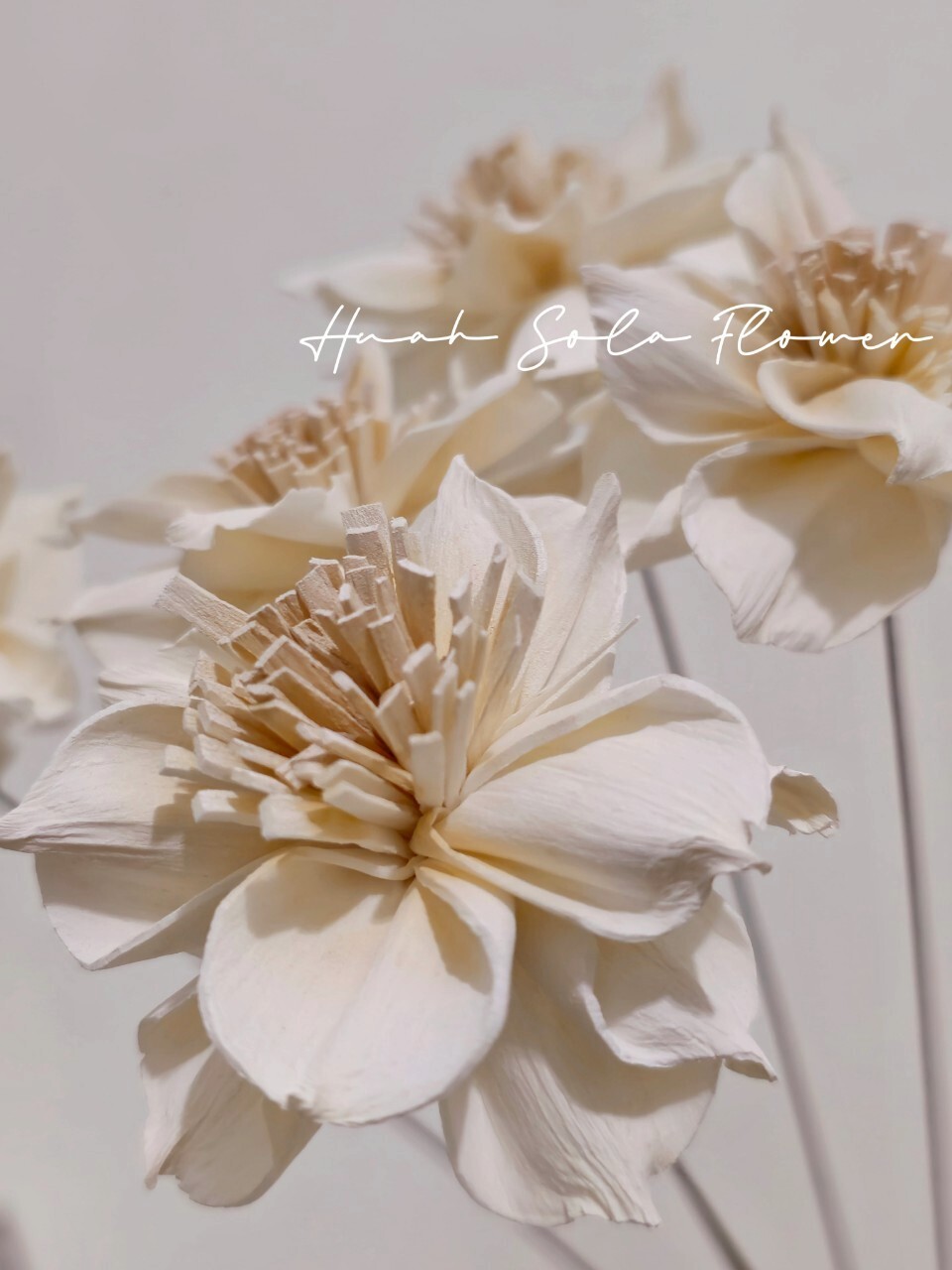 LINE_ALBUM_官網2_250801_7