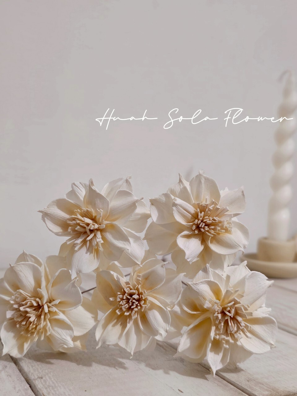 LINE_ALBUM_官網2_250801_10