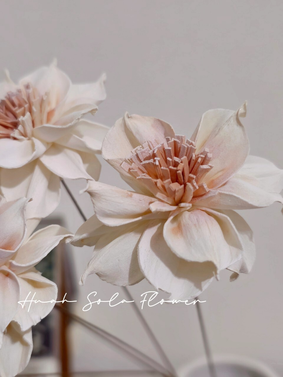 LINE_ALBUM_官網2_250801_2