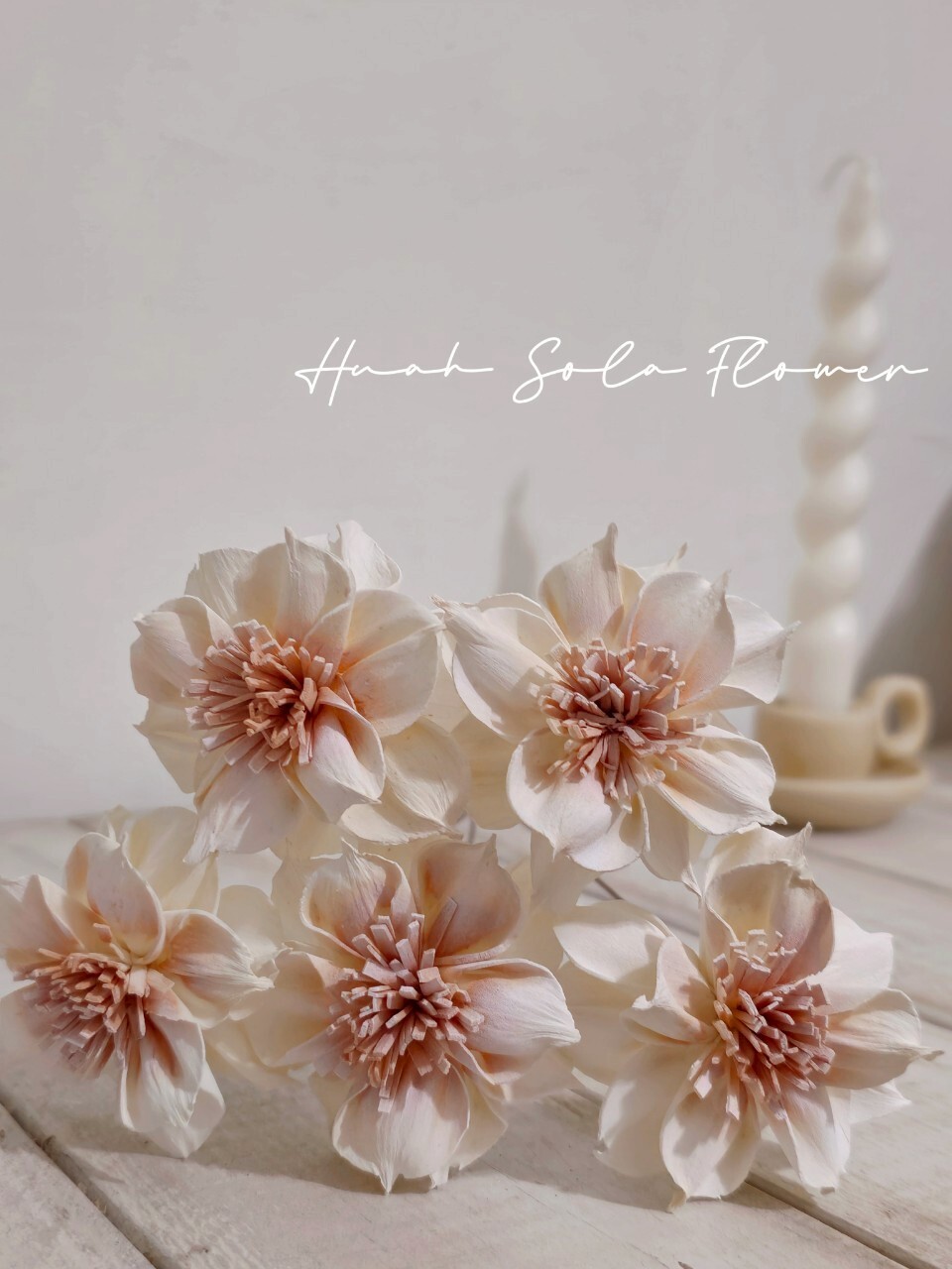 LINE_ALBUM_官網2_250801_3