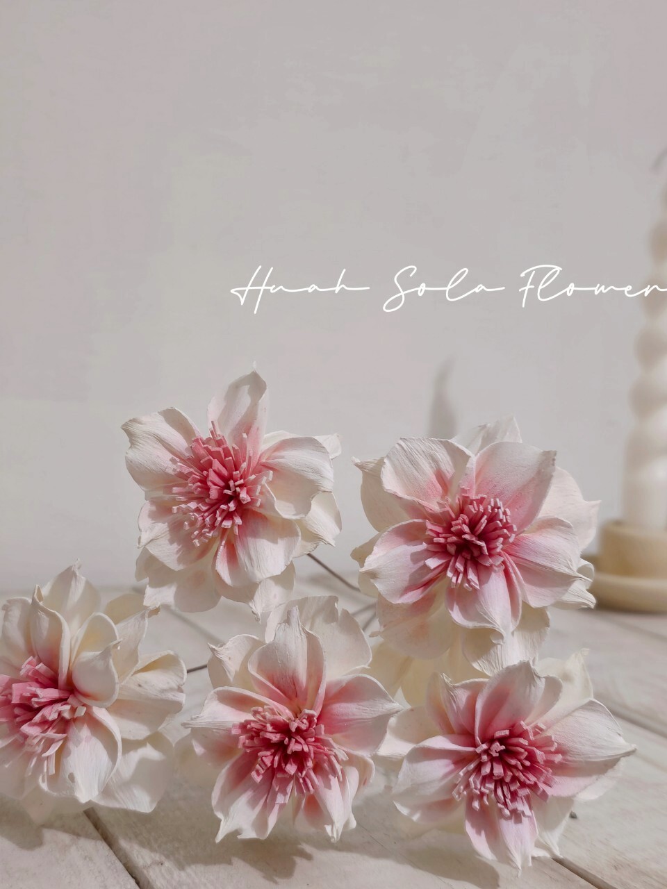 LINE_ALBUM_官網2_250801_8