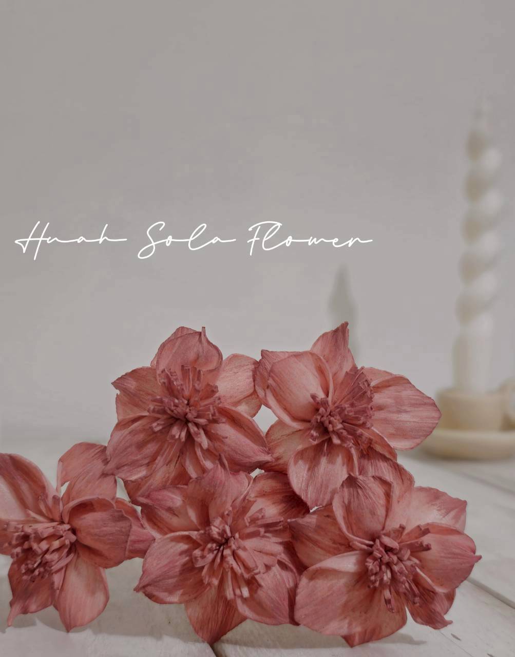 LINE_ALBUM_官網2_250818_3