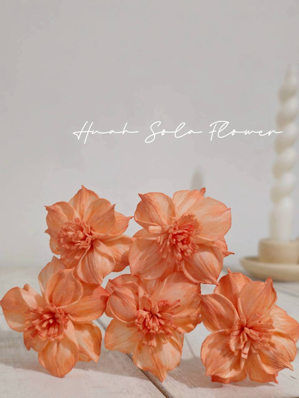 LINE_ALBUM_官網2_250818_54