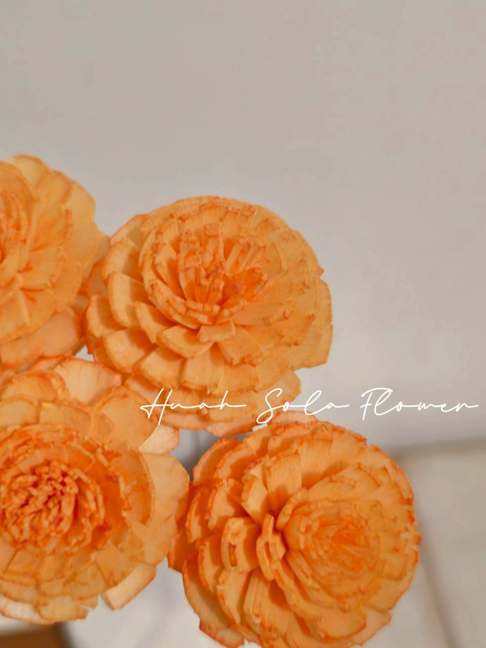 LINE_ALBUM_官網2_250818_16