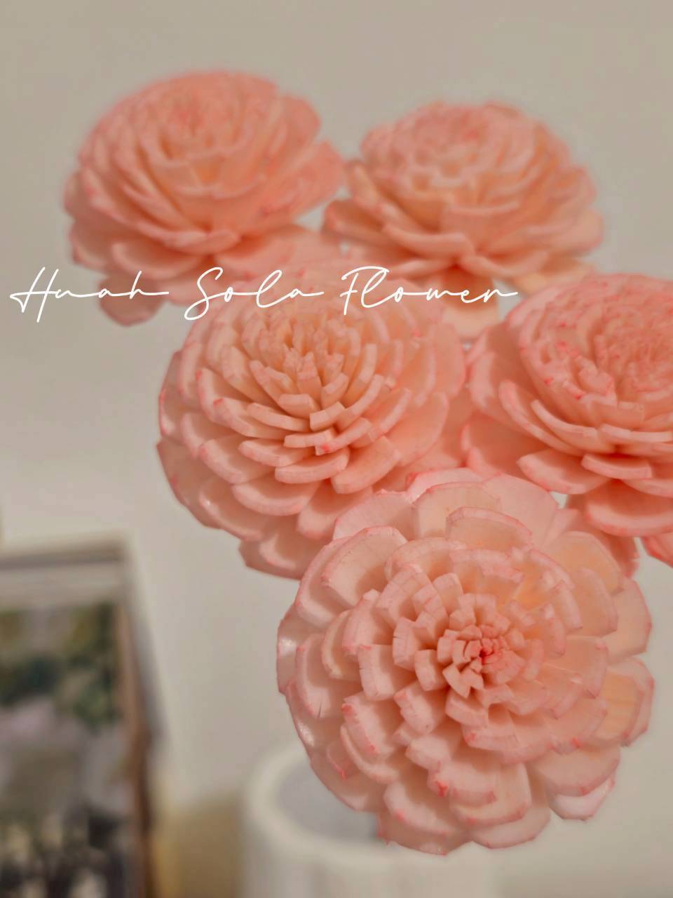 LINE_ALBUM_官網2_250818_26