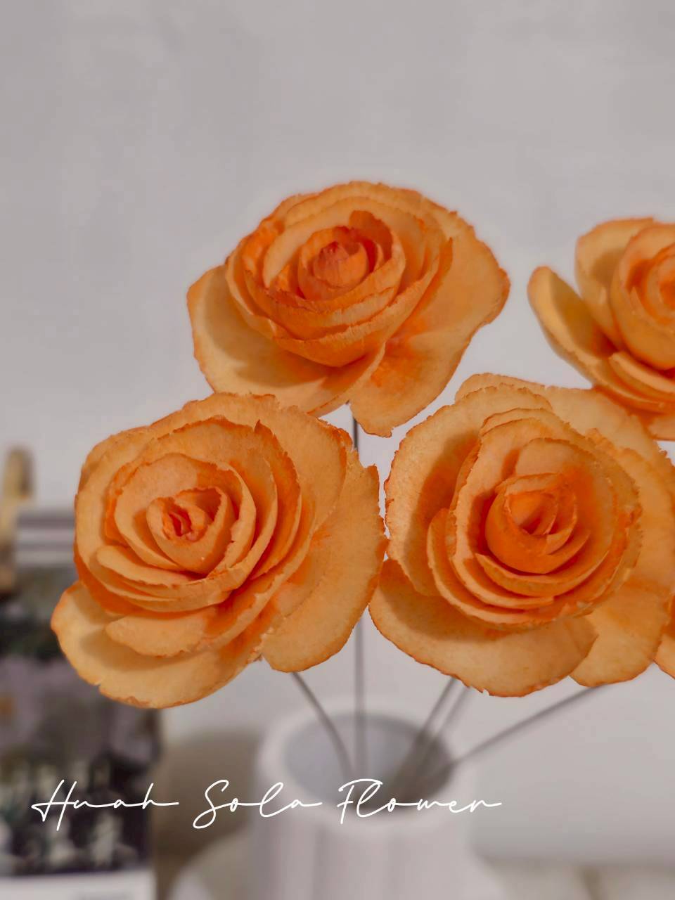 LINE_ALBUM_官網2_250818_19