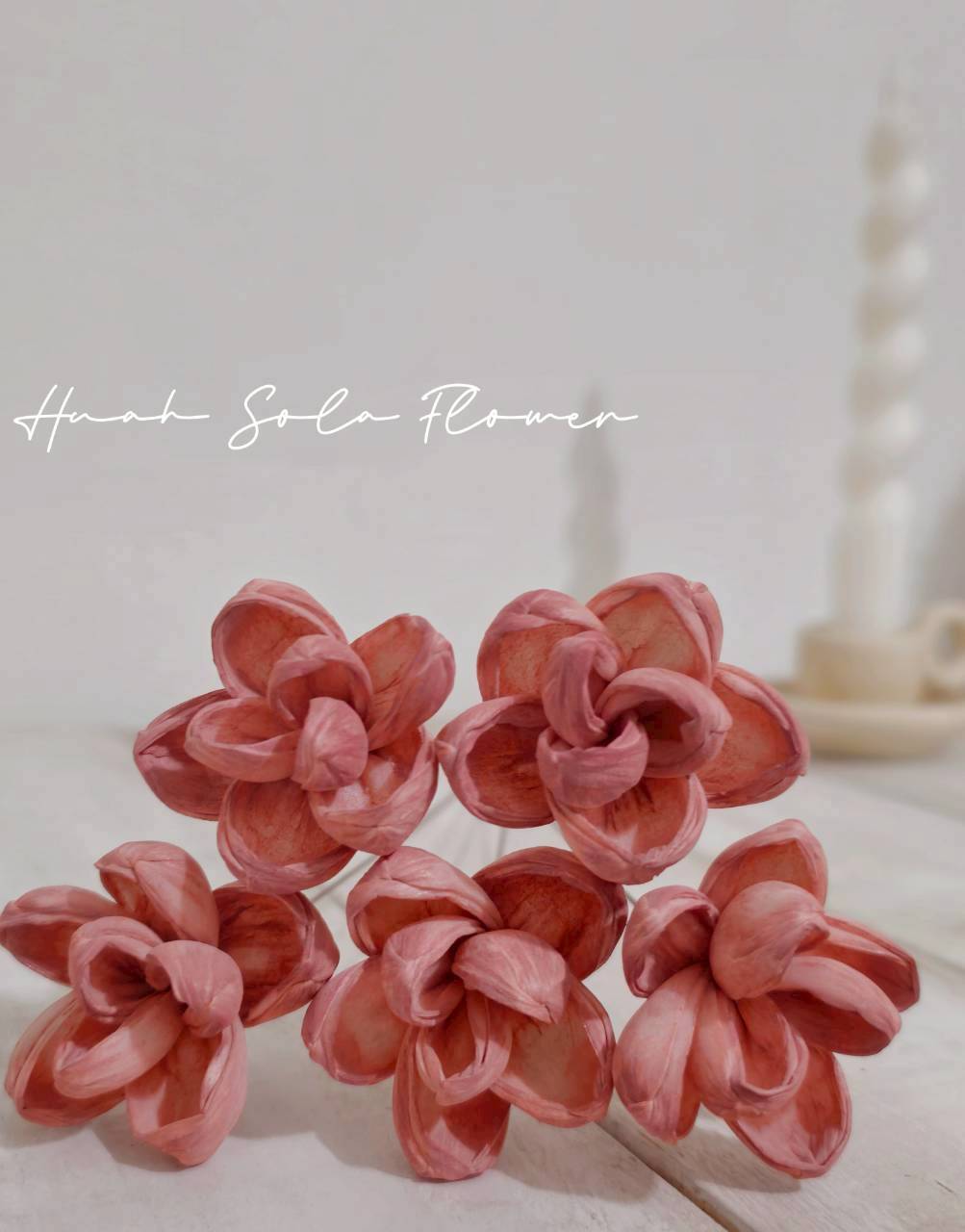 LINE_ALBUM_官網2_250818_6