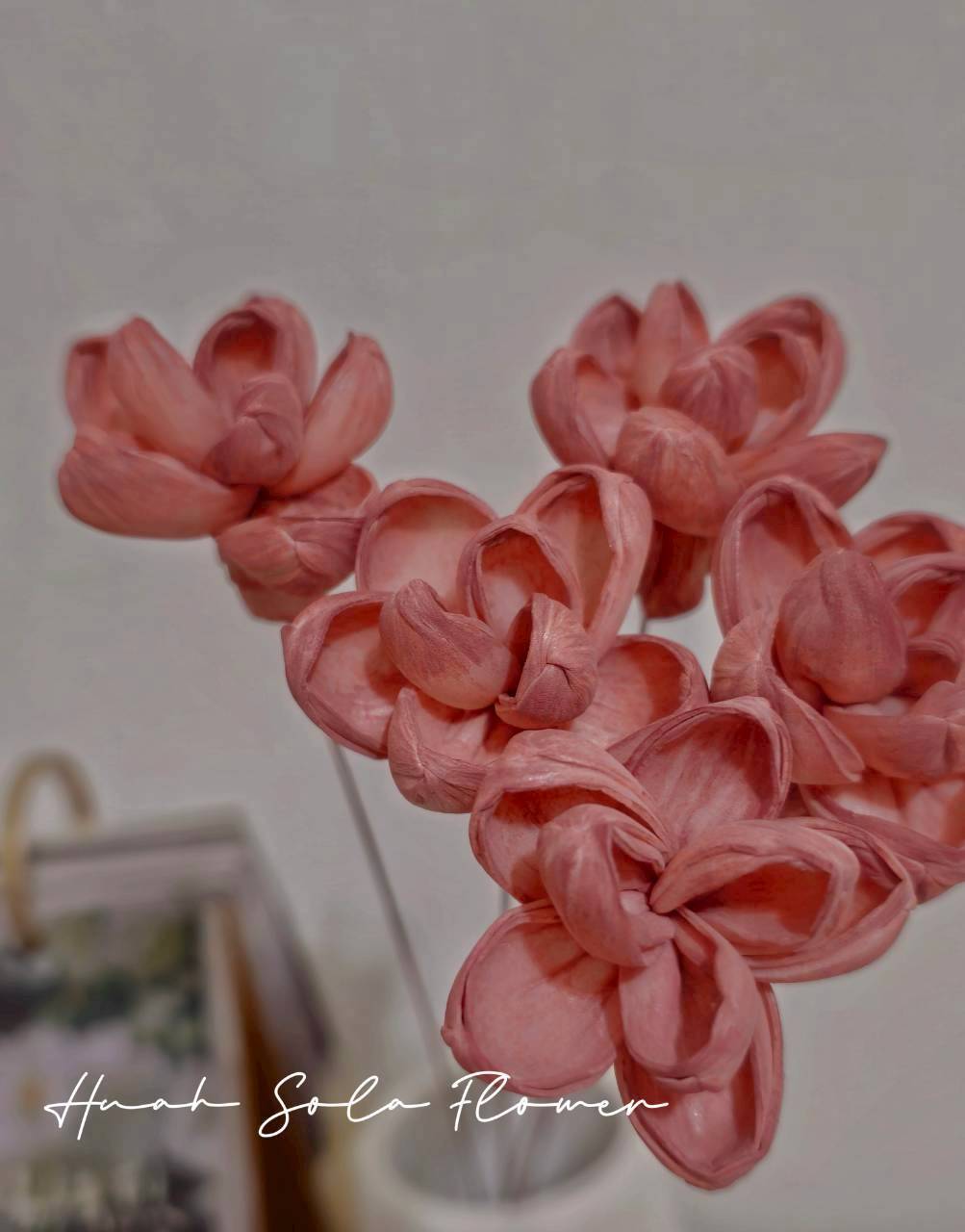 LINE_ALBUM_官網2_250818_5