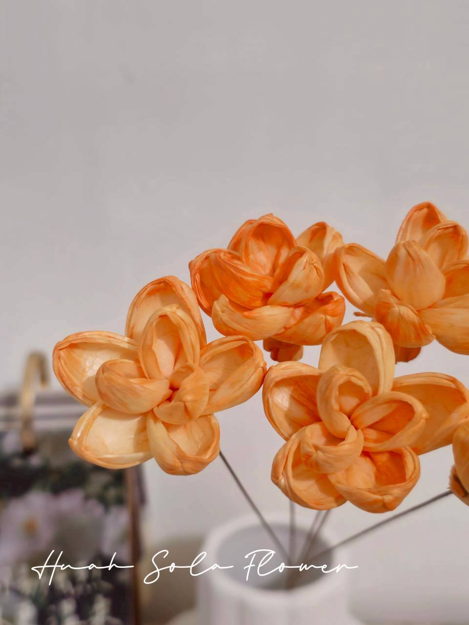 LINE_ALBUM_官網2_250818_15