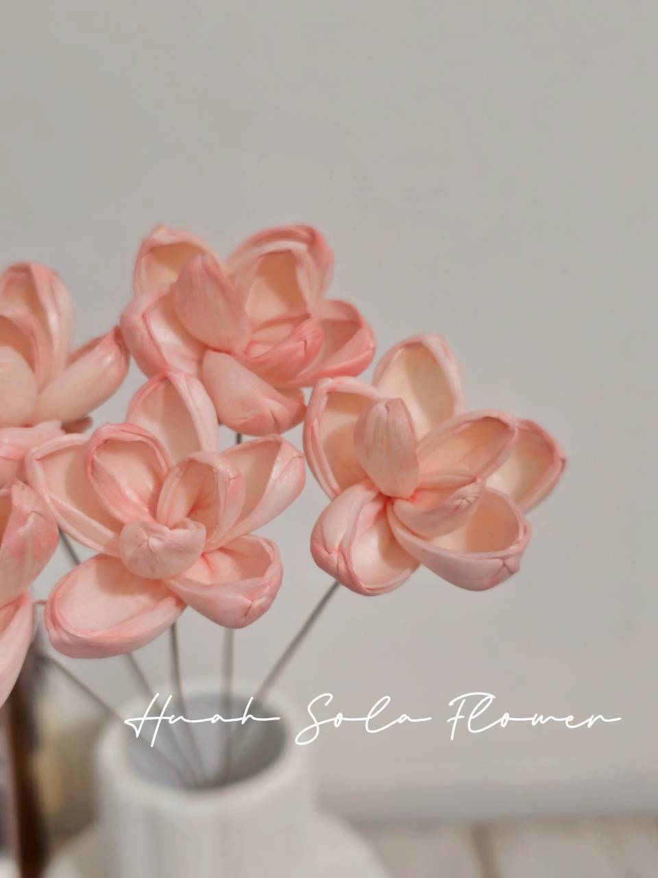 LINE_ALBUM_官網2_250818_24