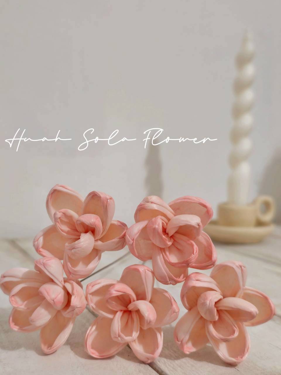 LINE_ALBUM_官網2_250818_23