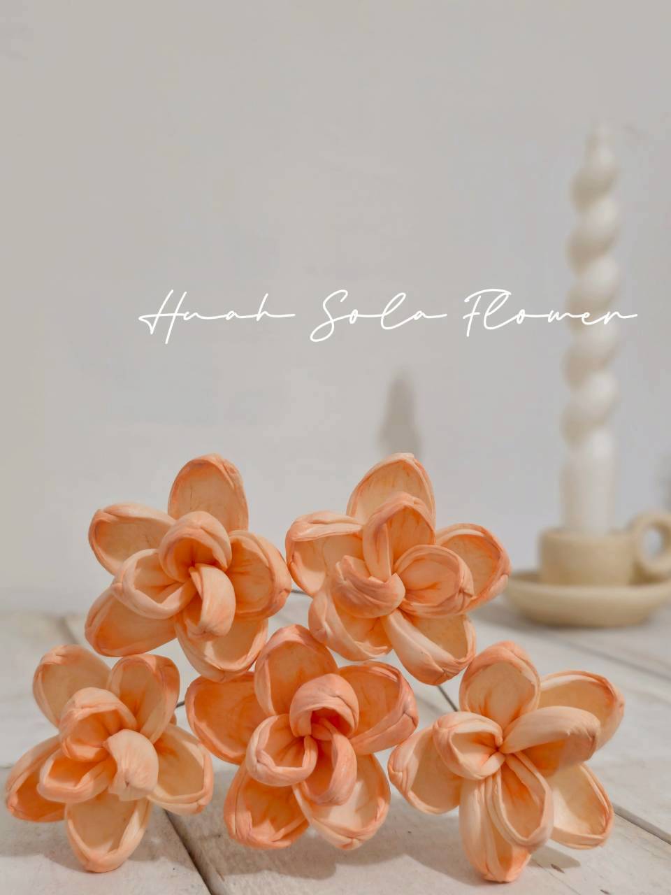 LINE_ALBUM_官網2_250818_31