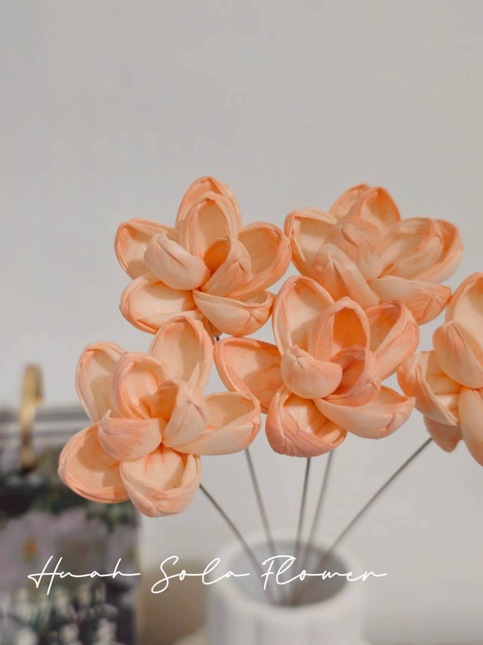 LINE_ALBUM_官網2_250818_30