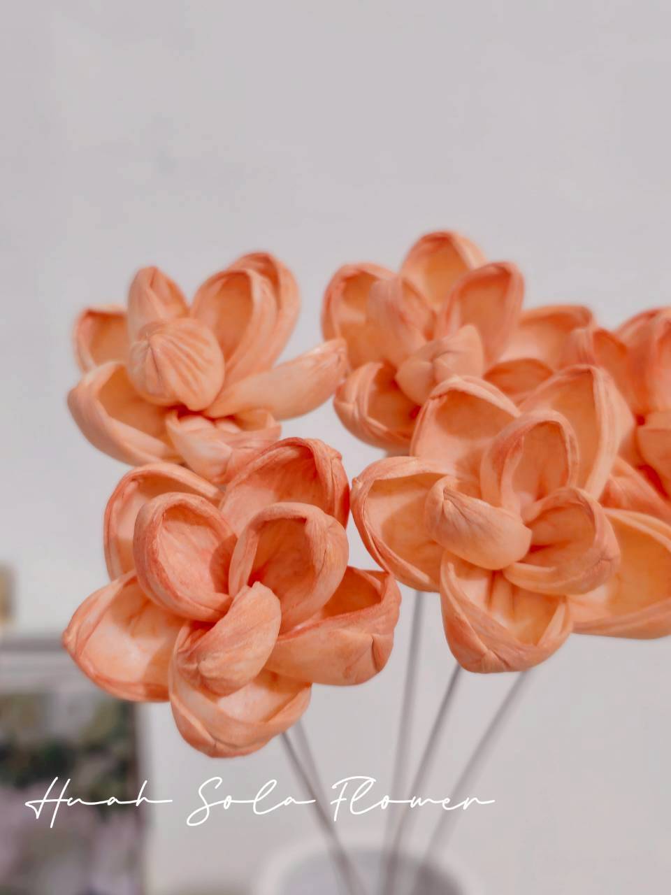 LINE_ALBUM_官網2_250818_53