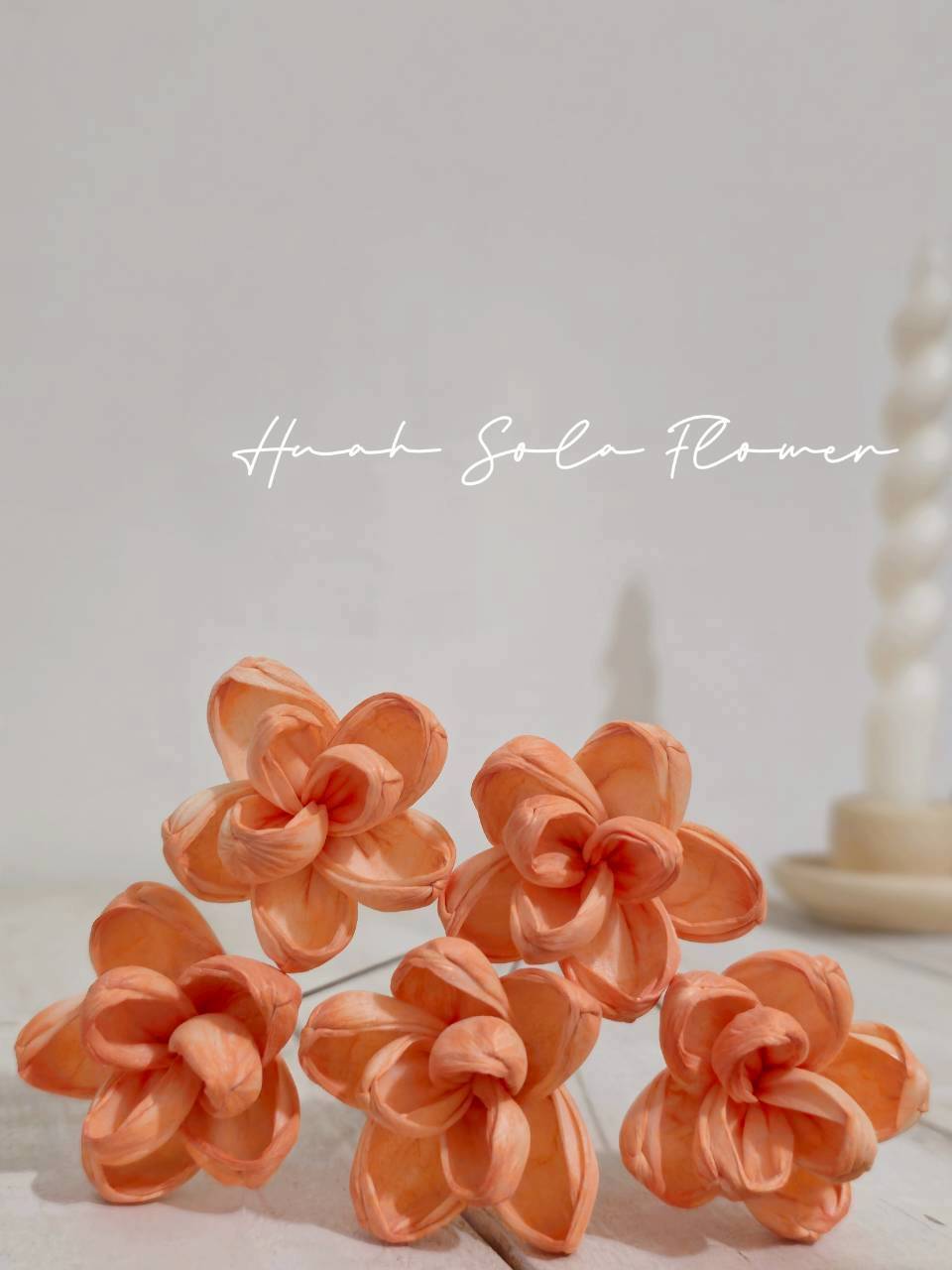 LINE_ALBUM_官網2_250818_52