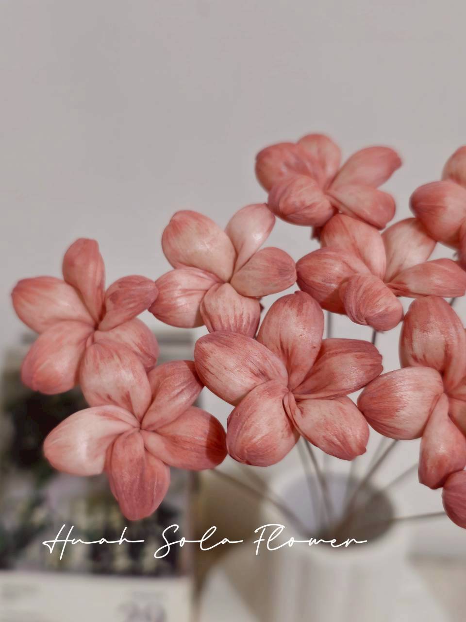 LINE_ALBUM_官網2_250818_10