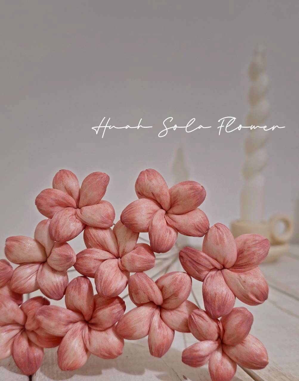 LINE_ALBUM_官網2_250818_9