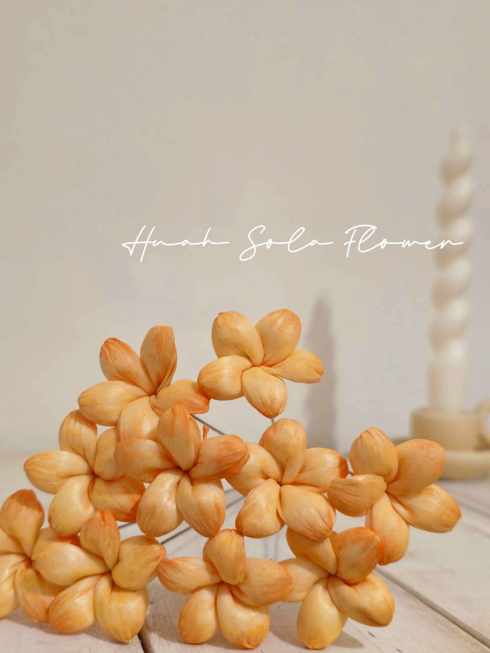 LINE_ALBUM_官網2_250818_22