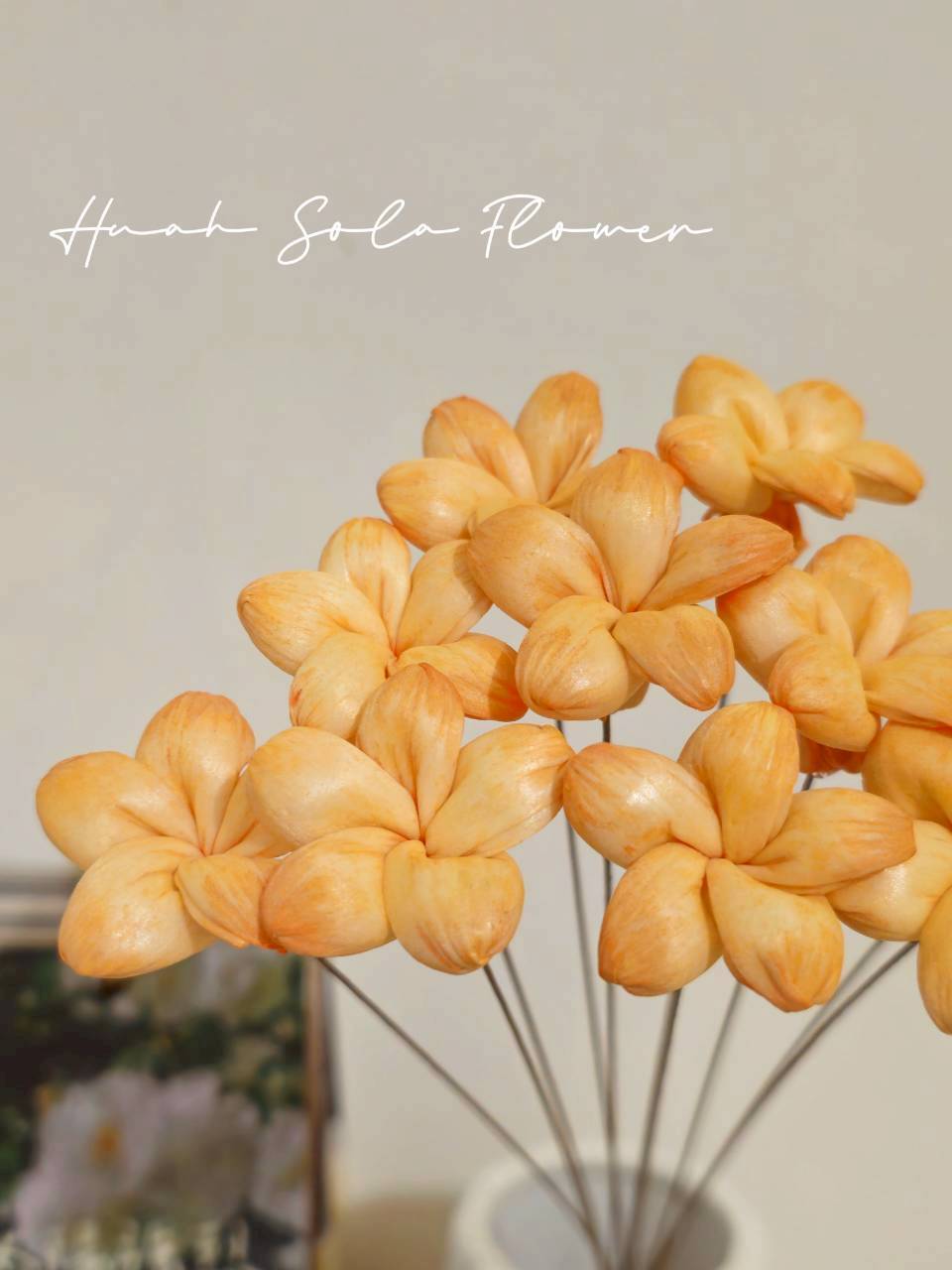 LINE_ALBUM_官網2_250818_21