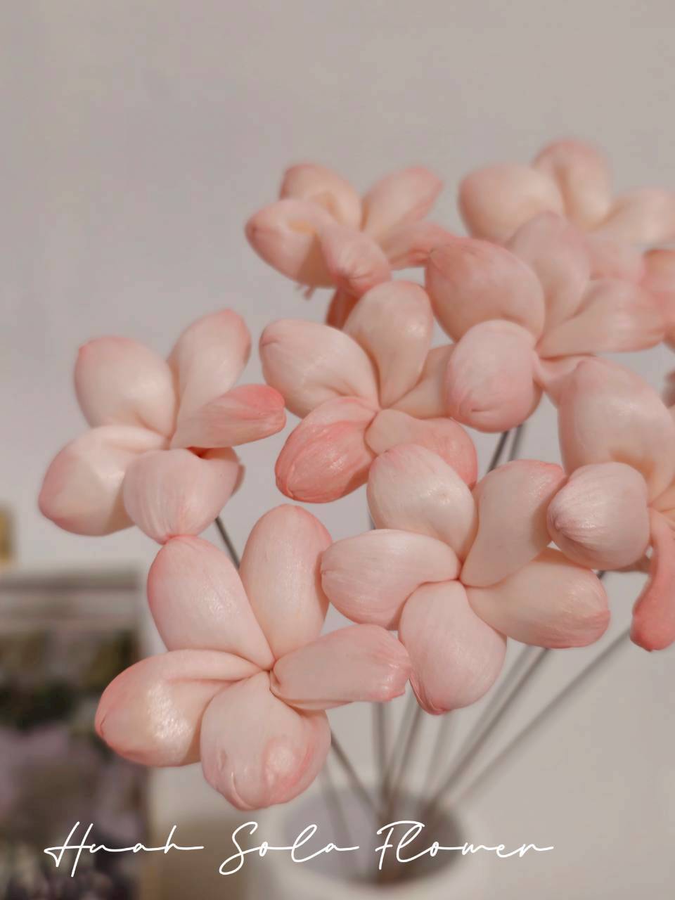 LINE_ALBUM_官網2_250818_29