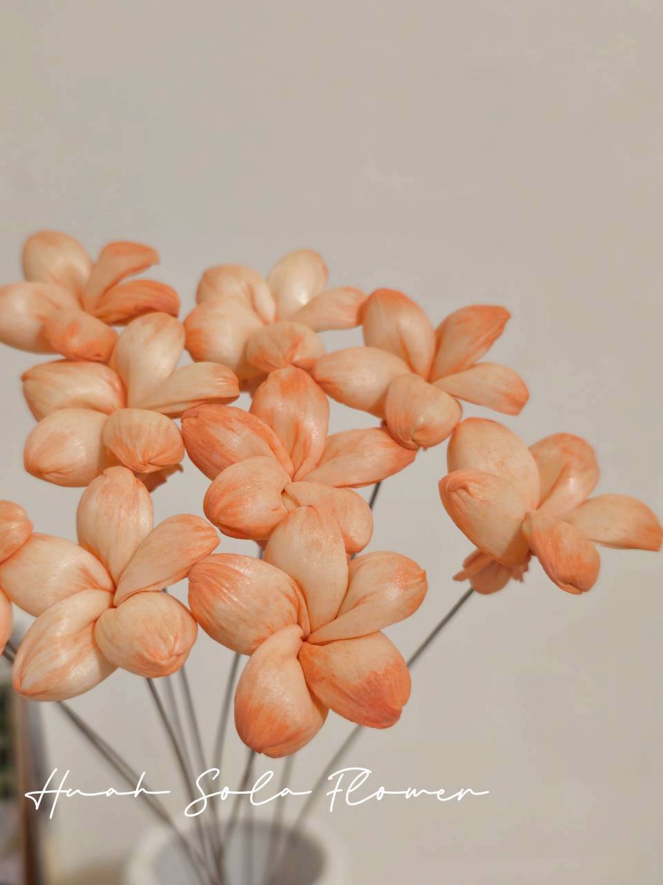 LINE_ALBUM_官網2_250818_49