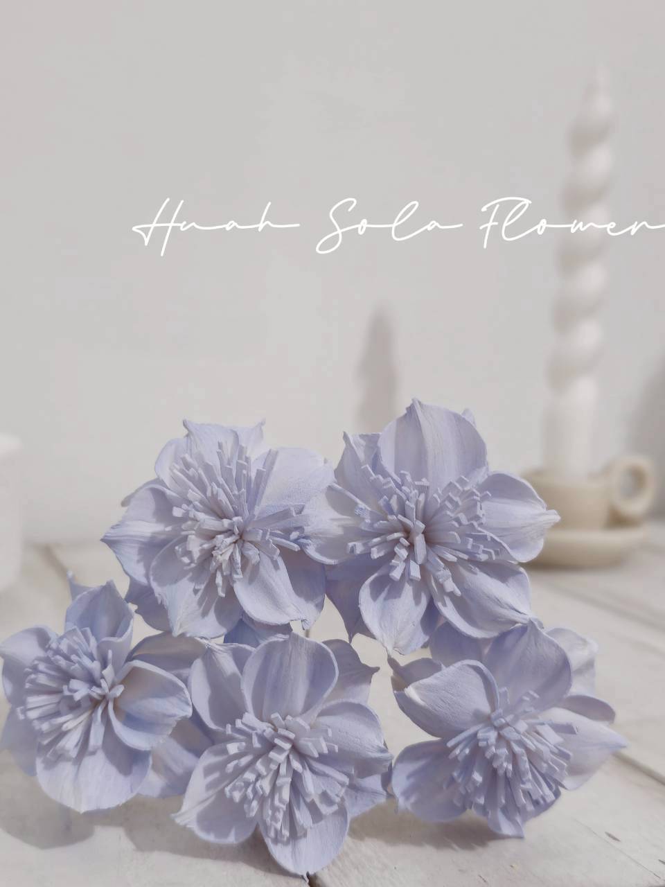 LINE_ALBUM_官網2_250818_110