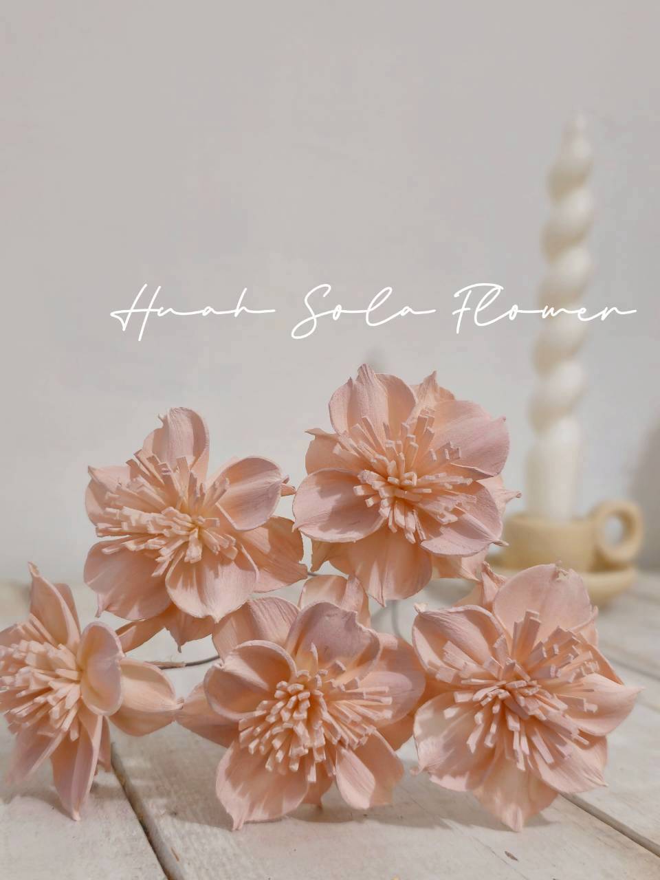 LINE_ALBUM_官網2_250818_79