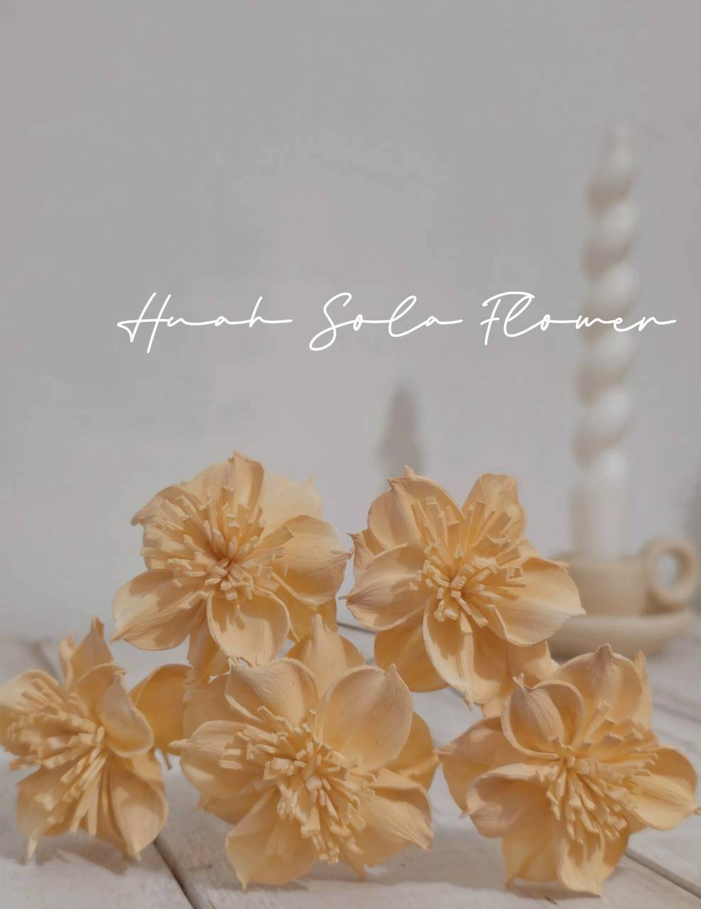 LINE_ALBUM_官網2_250818_88