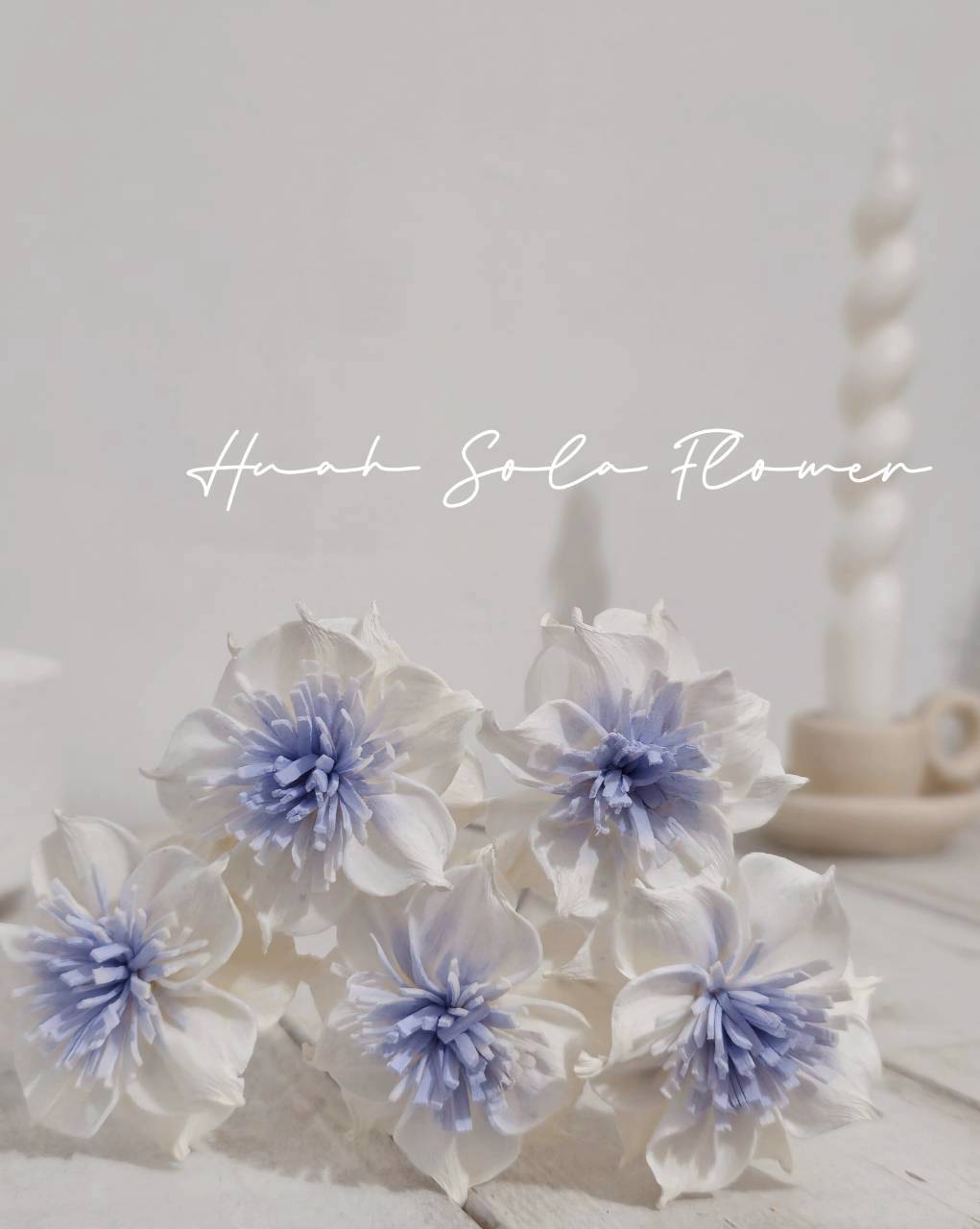 LINE_ALBUM_官網2_250818_91