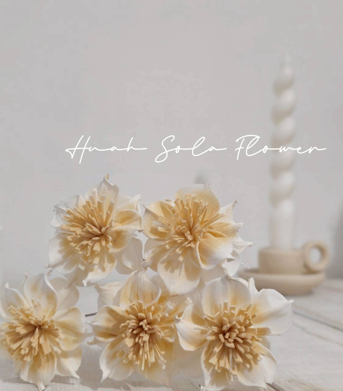 LINE_ALBUM_官網2_250818_97