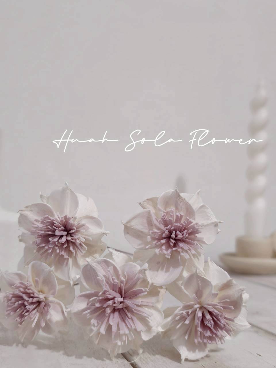 LINE_ALBUM_官網2_250818_100