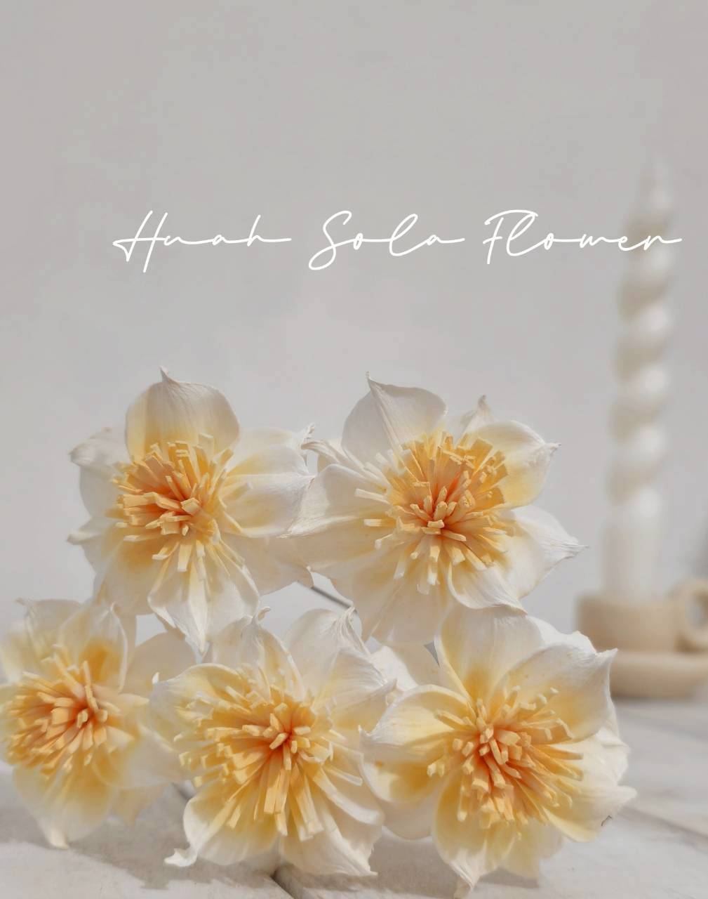 LINE_ALBUM_官網2_250818_106