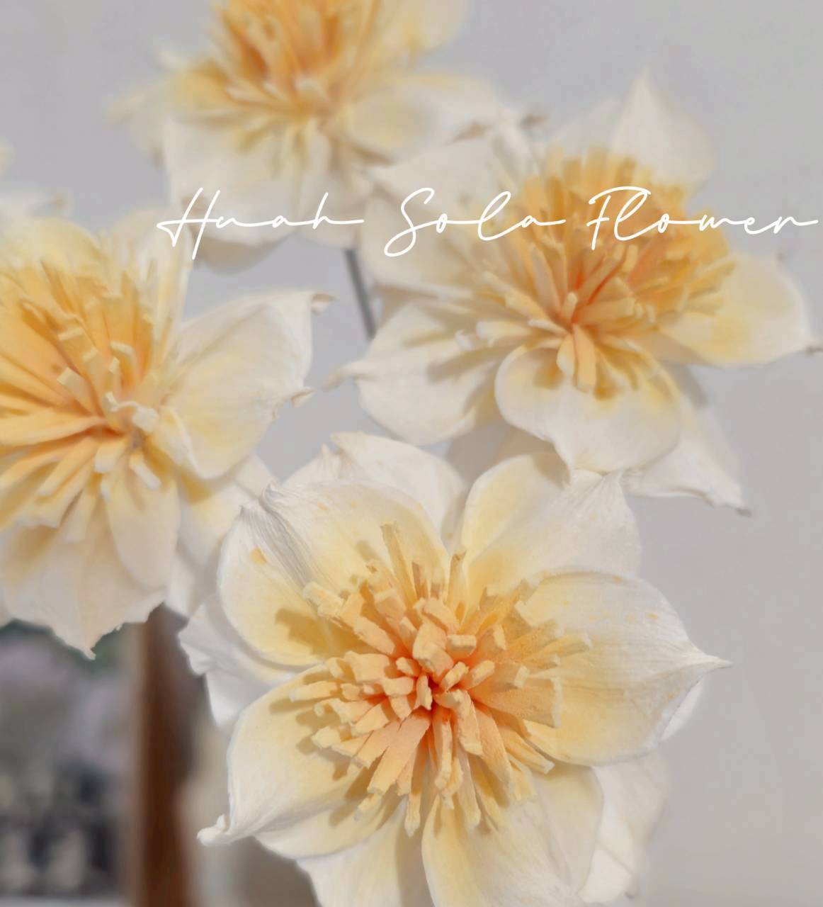 LINE_ALBUM_官網2_250818_104