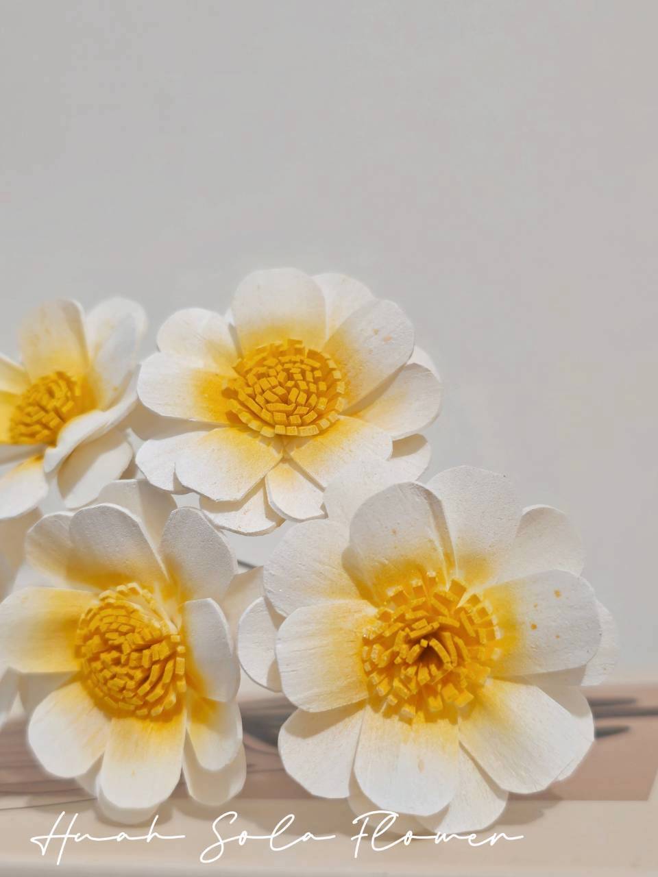 LINE_ALBUM_官網2_250818_71