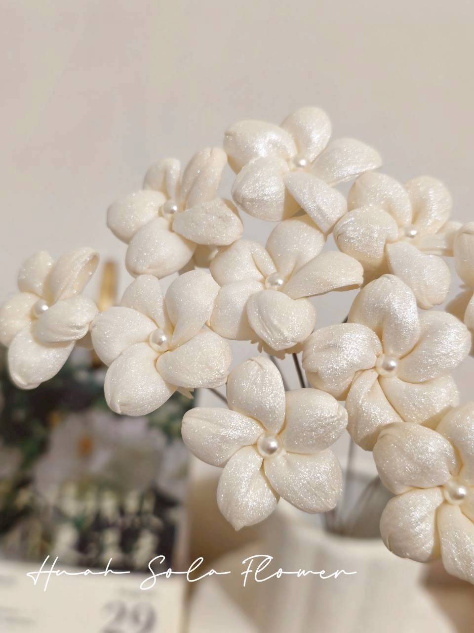 LINE_ALBUM_官網2_250818_14