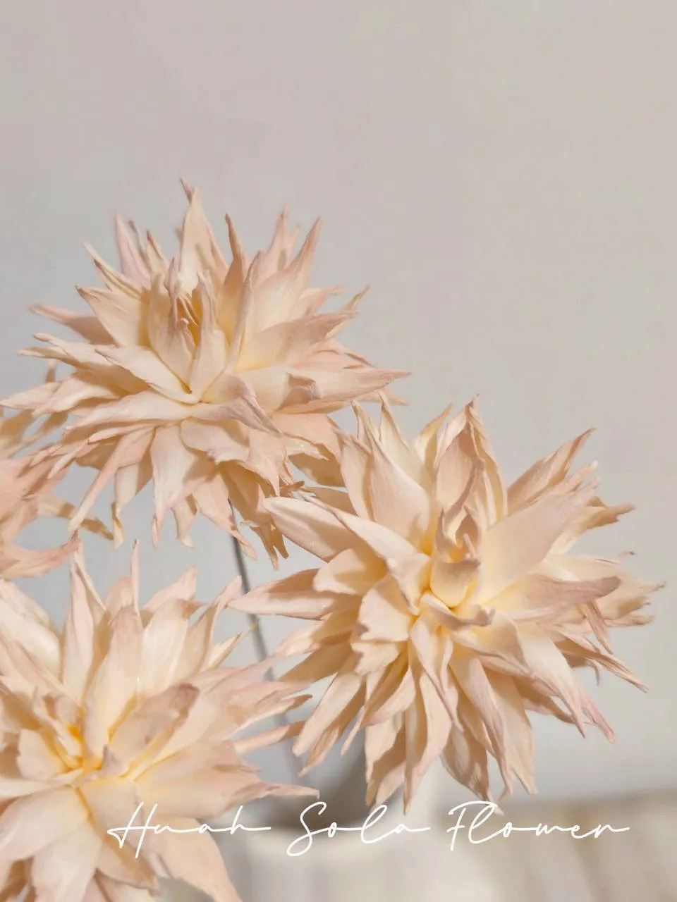 LINE_ALBUM_官網2_250818_62