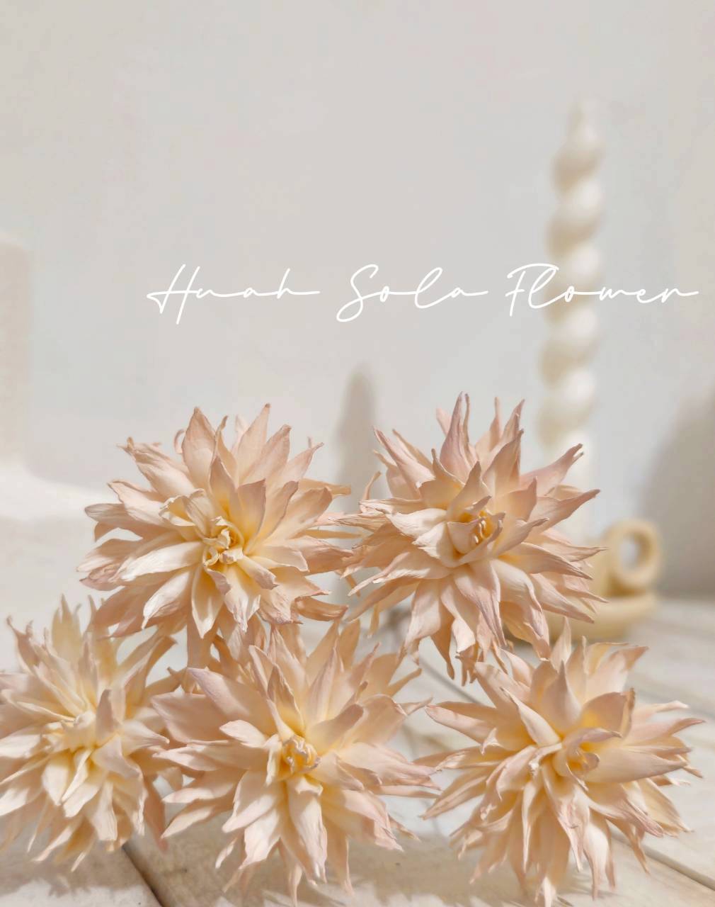 LINE_ALBUM_官網2_250818_63