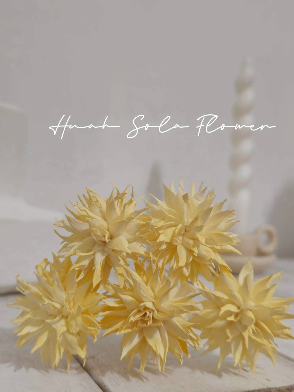 LINE_ALBUM_官網2_250818_56