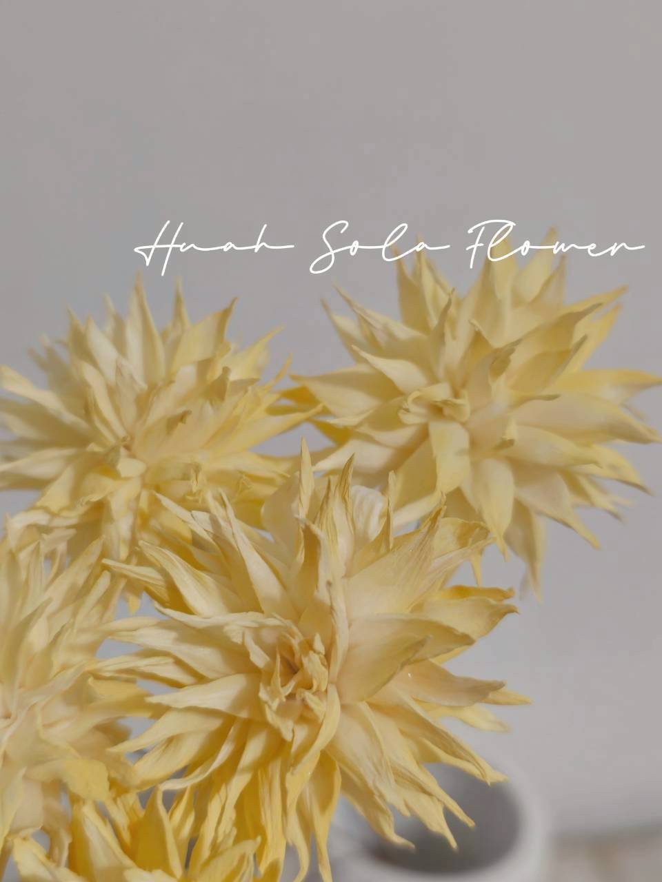 LINE_ALBUM_官網2_250818_57