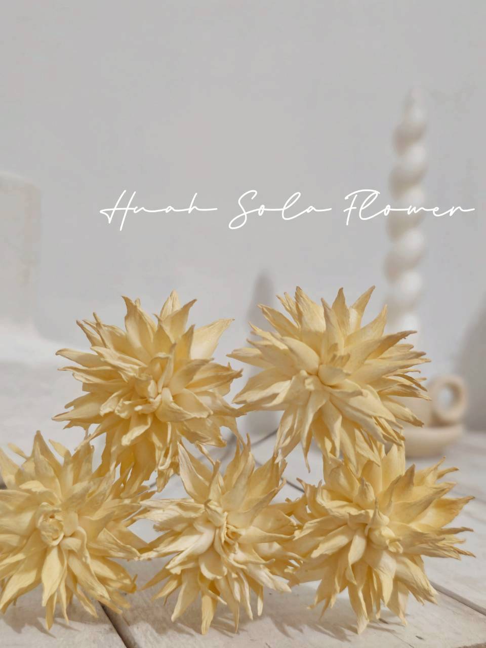 LINE_ALBUM_官網2_250818_59