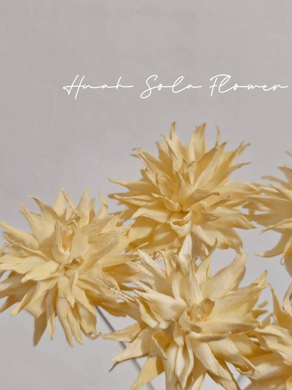 LINE_ALBUM_官網2_250818_58