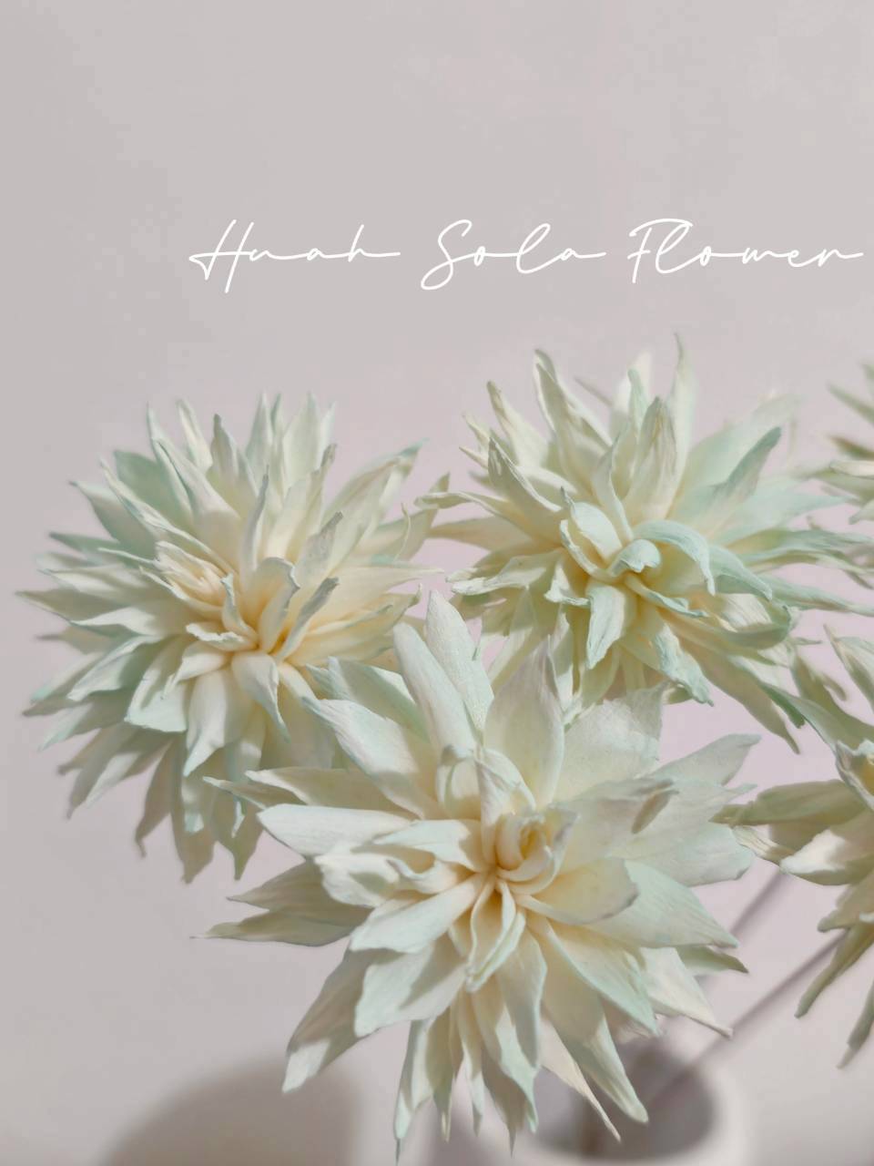 LINE_ALBUM_官網2_250818_60