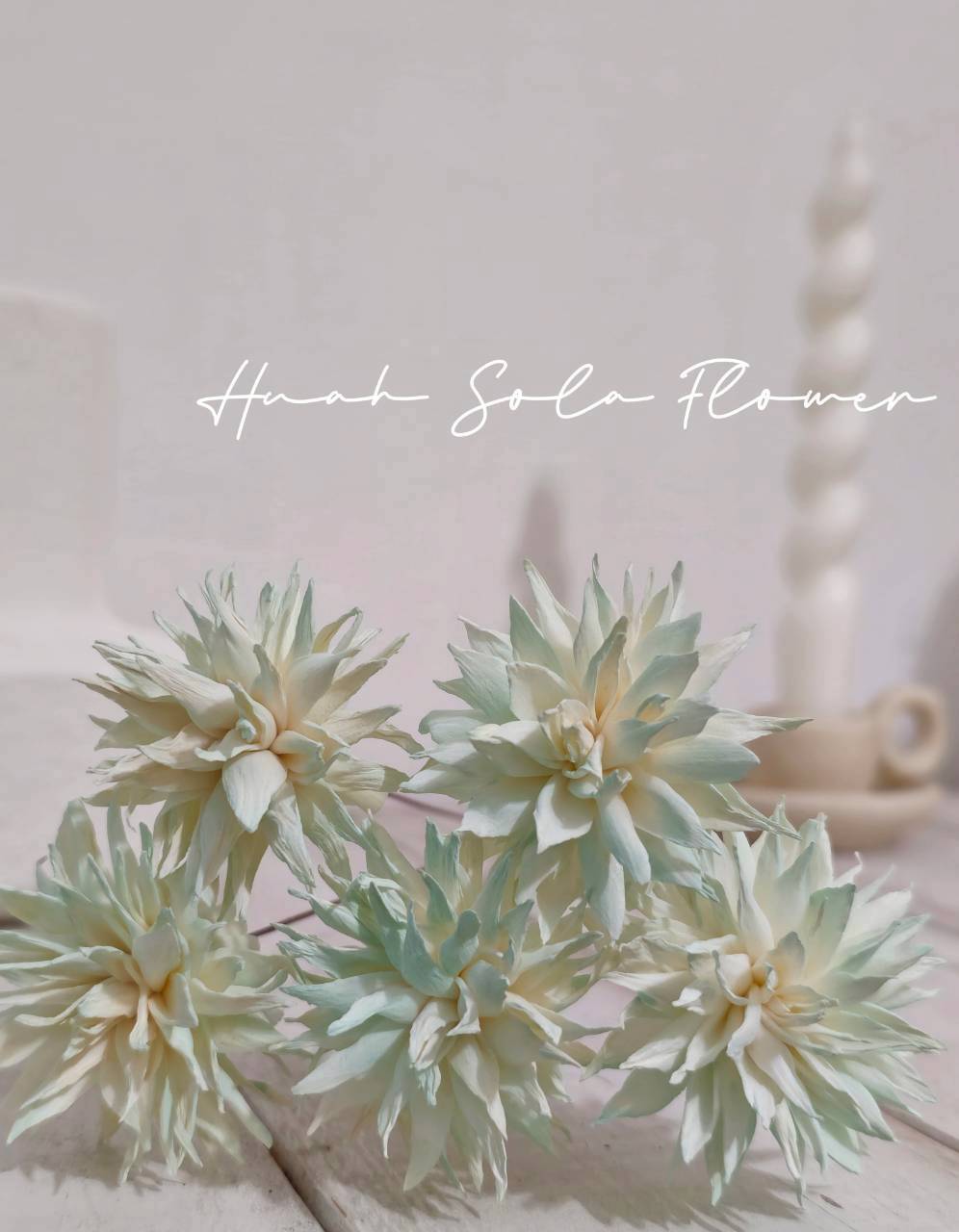 LINE_ALBUM_官網2_250818_61