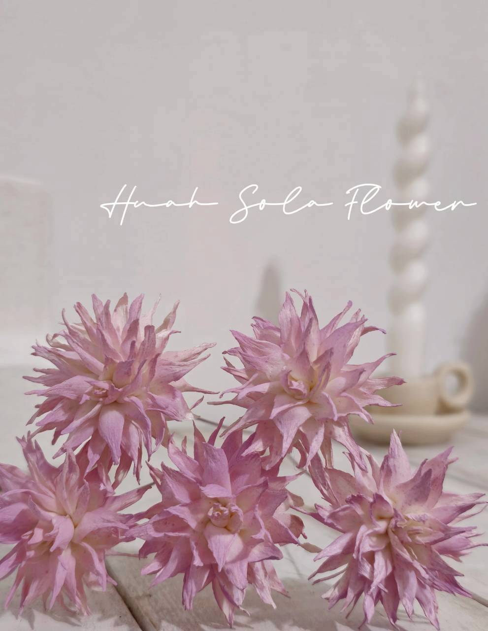 LINE_ALBUM_官網2_250818_64