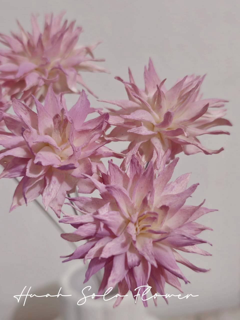 LINE_ALBUM_官網2_250818_65