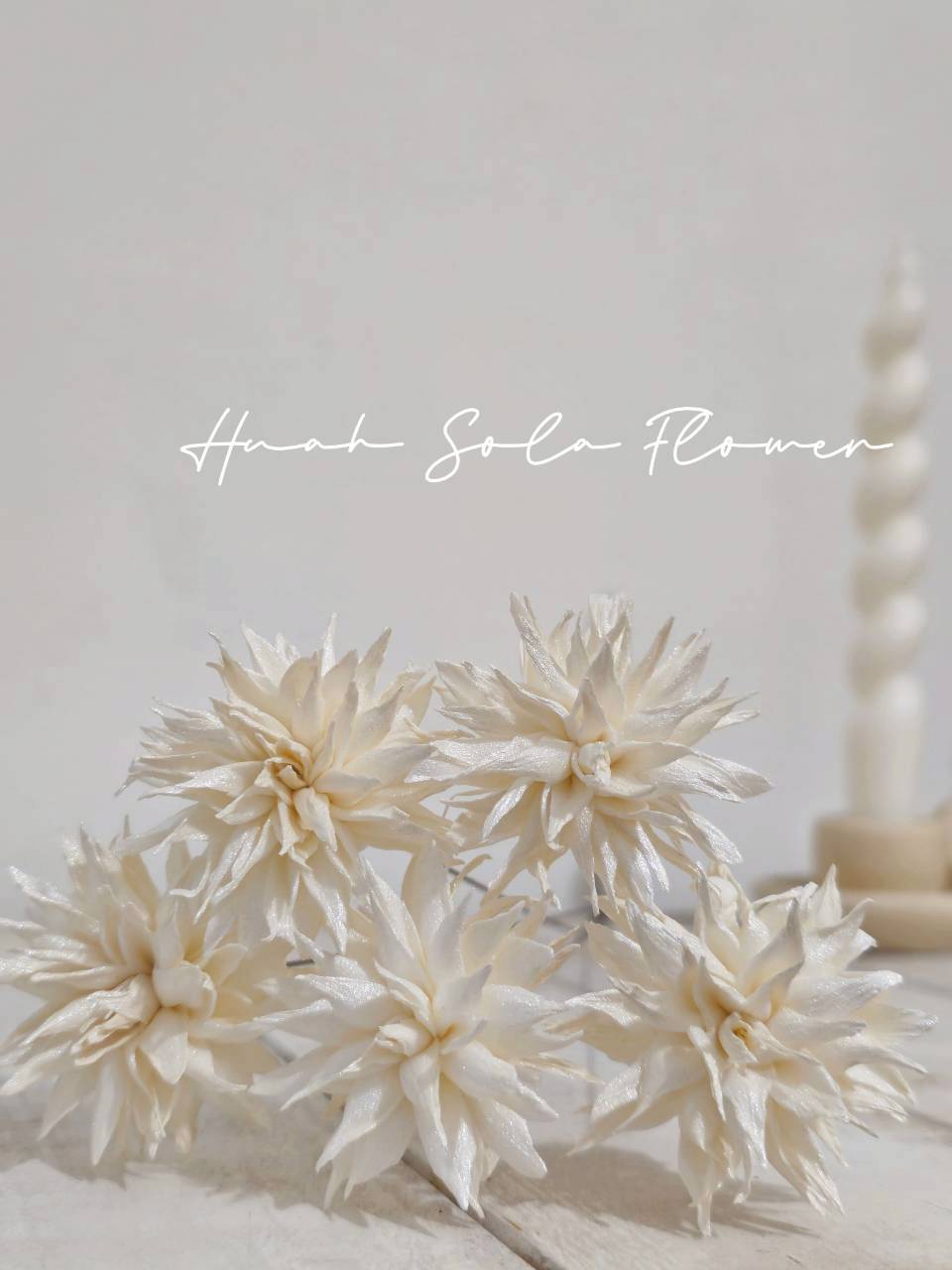 LINE_ALBUM_官網2_250818_70