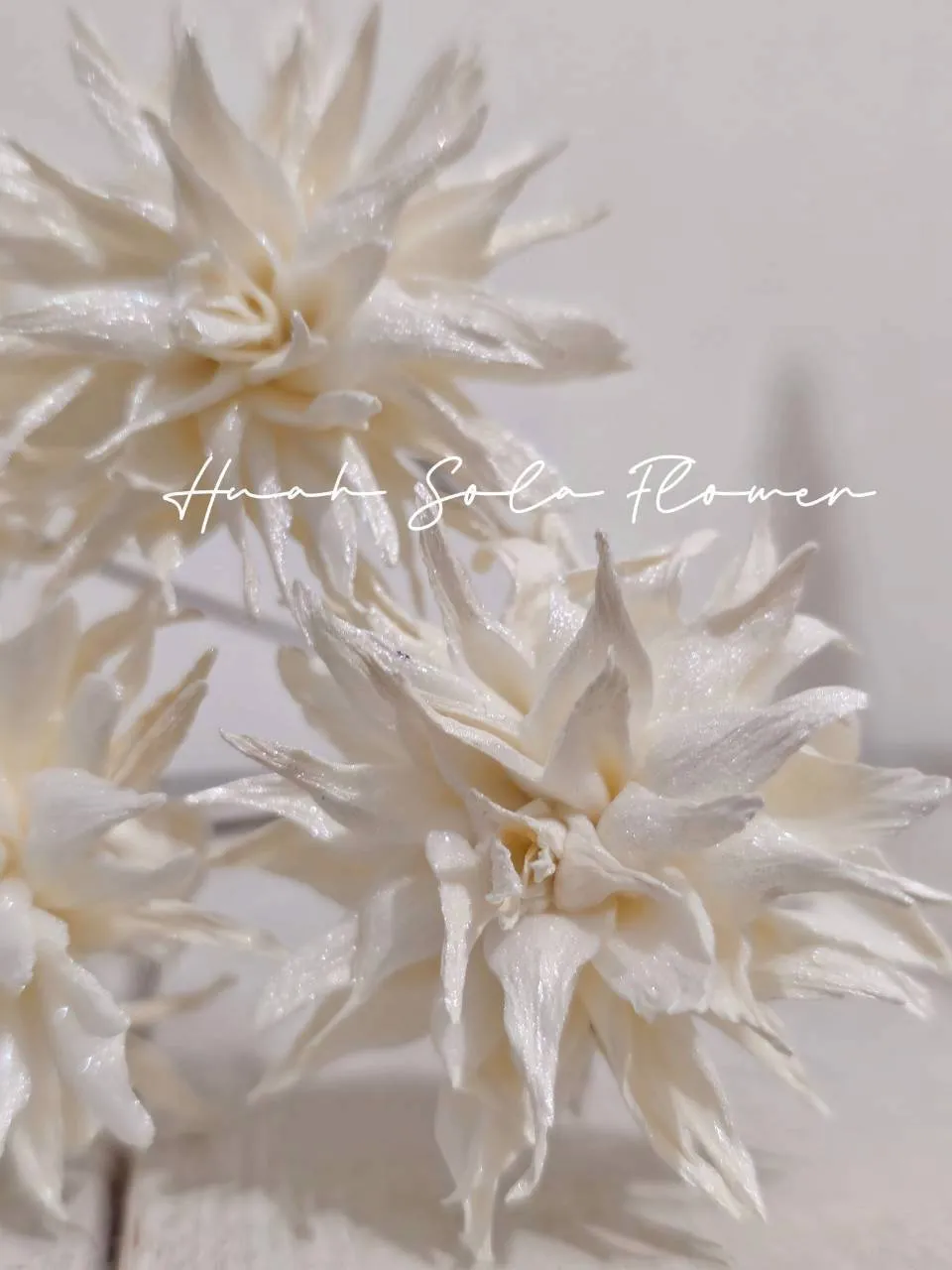 LINE_ALBUM_官網2_250818_69