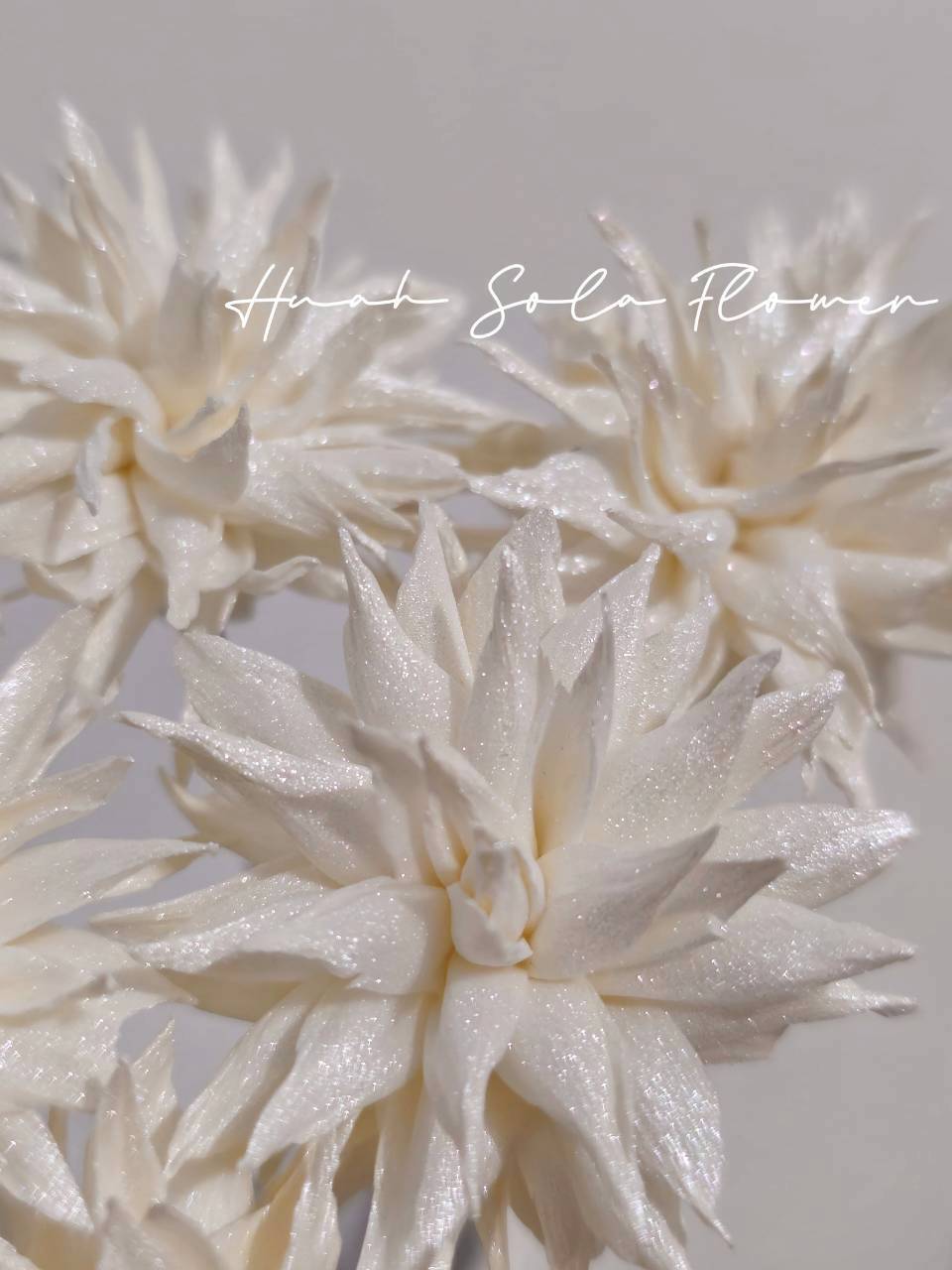 LINE_ALBUM_官網2_250818_68