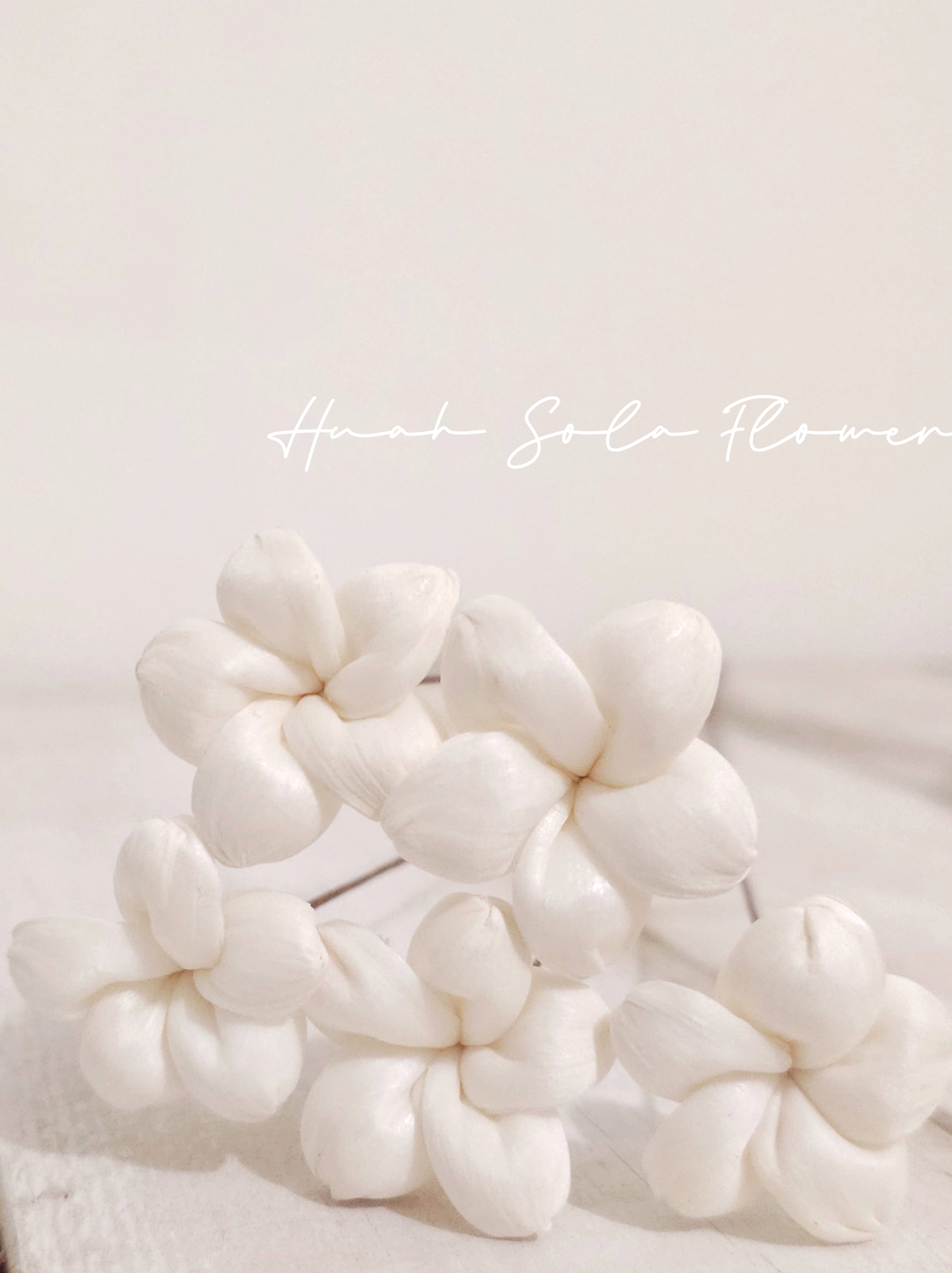 1000030531_batch_8_1757090112782