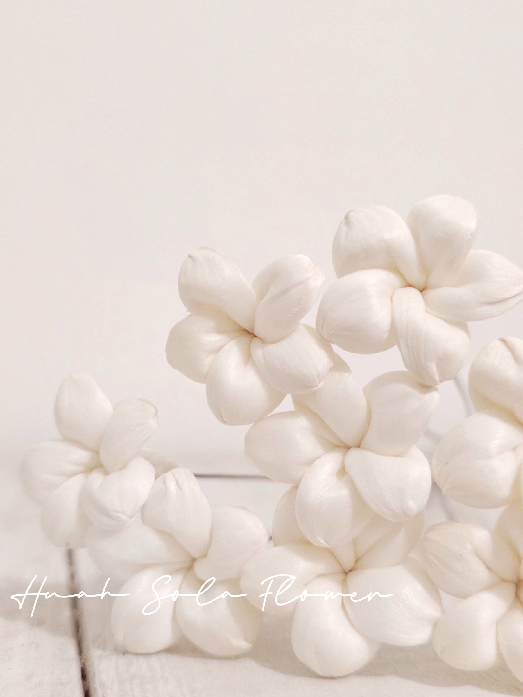 1000030530_batch_7_1757090112300